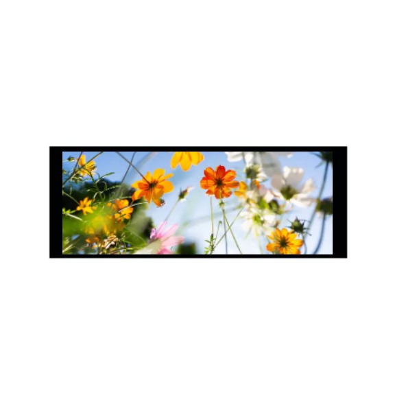 6,86 pollici 480 × 1280 Modulo TFT IPS
