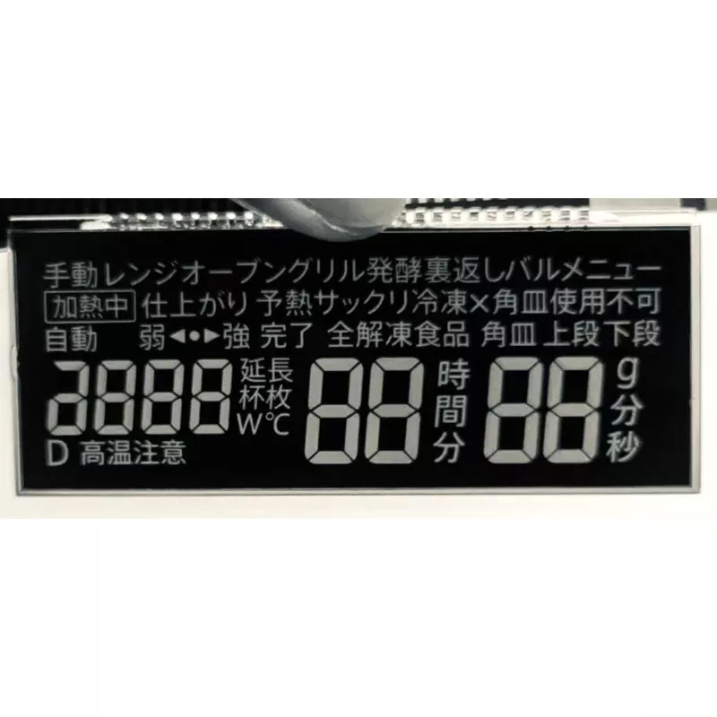 Modulo LCD segmento VA